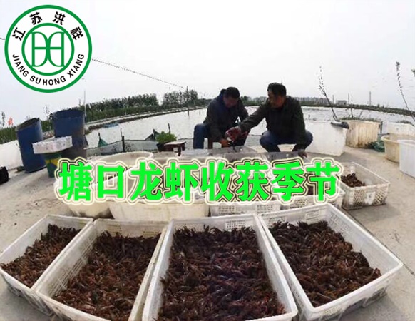 XYDK5040型數控雕刻機-半封閉